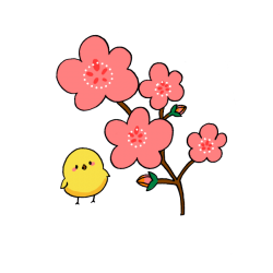 女性限定！ひな祭りキャンペーン（ついでにホワイトデーもね(^_-)-☆）