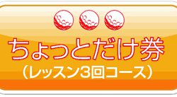 お試し体験チケットができました。３回コース