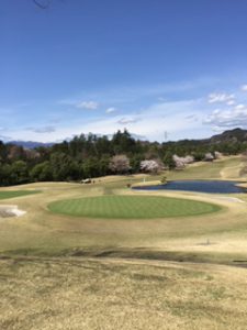 ⑧ グリーン景色